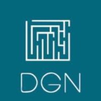 DGN Consulting logo - Similar company to Fs Finance Strategies Bvba