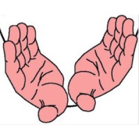 Circle of Security & Attachment Clinic logo - Similar company to Visionlab360