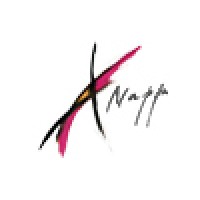 Associazione Nazionale Psicologi Psicoterapeuti logo - Similar company to Schema Therapy In Pillole