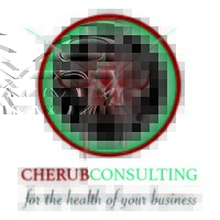 Cherub Constulting logo - Related company intelligence peer for Cherub Advisory & Consulting - IT Sourcing for Maximum Value