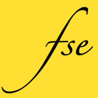 FSE Consulting logo - Similar company to Hayai Broadband (Uk)