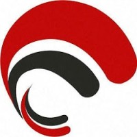Find Facts logo - Similar company to Spinlogics