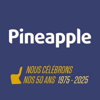 Pineapple Contracts France logo - Similar company to Pineapple Furniture
