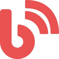 Bilgila Information Technologies logo - Similar company to Sanus