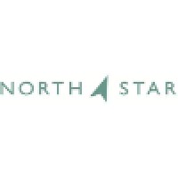 North Star Destination Strategies logo - Similar company to Lifeworks For Autism
