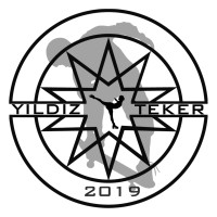 Yıldız Teker