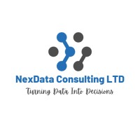 NexData Consulting LTD logo - Similar company to Nexdata Solutions
