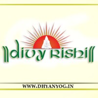 Divya Rishi Pharmacy Pvt. Ltd. logo - Similar company to Mahhaguru Navgrah Private Limited