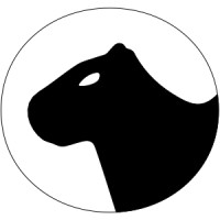 Nuvotion logo - Similar company to Mb Lights