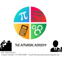 The Actuarial Academy logo - Similar company to Proactuary.Com
