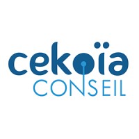 Cekoïa Conseil logo - Similar company to Effectius