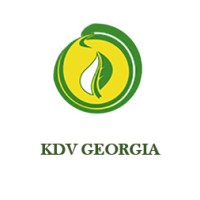 KDV Georgia logo - Similar company to Kng Group Llc.