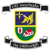 Kilmacud Crokes GAA Club logo - Similar company to Willow Park Junior School