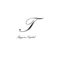 Thygesen Capital logo - Similar company to Identity Ventures