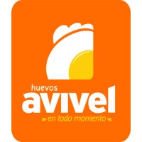 AVIVEL S.A.C. logo - Similar company to Unicachi.Com