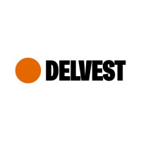 Delvest logo - Similar company to Visietech
