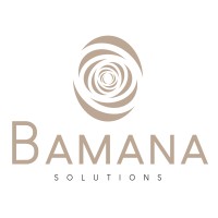 Bamana Solutions logo - Similar company to Ping4All
