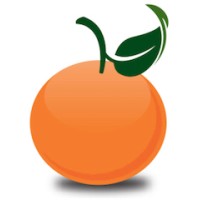Tangerine Project logo - Similar company to Integrated Wellness Group
