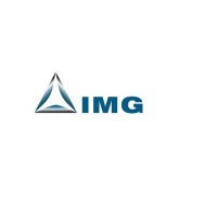 IMG SRL - Industrial Machinery Group logo - Similar company to T System S.R.L.