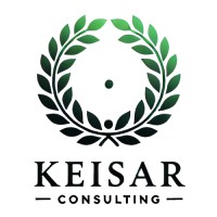 Keisar Consulting logo - Similar company to Tranz-It