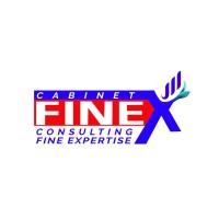 Cabinet Finex Consulting logo - Similar company to Abuzweb