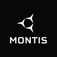 Montis Corporation logo - Similar company to Arrowslate
