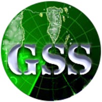 Gulf Surveillance Services Co. W.L.L. logo - Similar company to Stark Motors