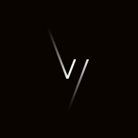 VizLine Studio logo - Similar company to Catalog.App