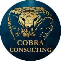 Cobra Consulting logo - Similar company to Bluethrone