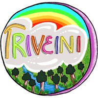 triveini logo - Similar company to Derepu