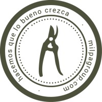 Milpa Estudio