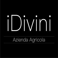 iDivini logo - Similar company to Lonati Winery