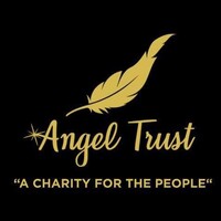Angel Trust logo - Similar company to Yyp | York Young Professionals