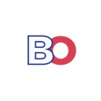 Blue Owl | Shopify Agency logo - Similar company to Localhost Software House