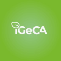 IGeCA logo - Similar company to Infotechnalia