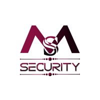MS SECURITY logo - Similar company to Appn International