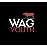WAGYOUTH logo - Similar company to Atg Dev