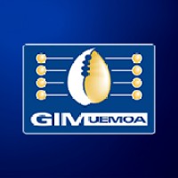 GIM UEMOA logo - Similar company to Vdn Technology