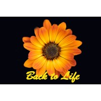 Back To Life Foundation logo - Similar company to Act Foundation