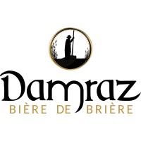 Damraz logo - Similar company to Tribu Conseil