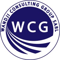 Wandji Consulting Group logo - Similar company to Social Tech
