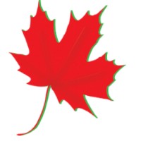 Maple Leaf Harvest