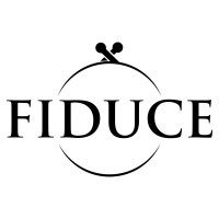 FIDUCE logo - Similar company to Finance Sa