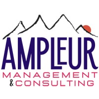 Ampleur Management & Consulting logo - Similar company to Luxurypac Ltd