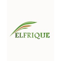 Elfrique logo - Similar company to Liveandwingit