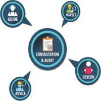 Independent Technology Audit and Consultation logo - Similar company to Indojasa Global Solution
