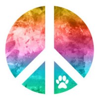 Leader Of The Pax