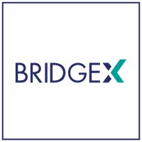 BRIDGEX logo - Similar company to Onemorepack
