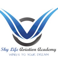 Skylife Aviation logo - Similar company to Mh Intellect