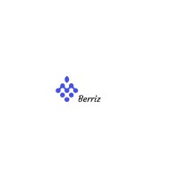 Berriz International logo - Similar company to Berriez